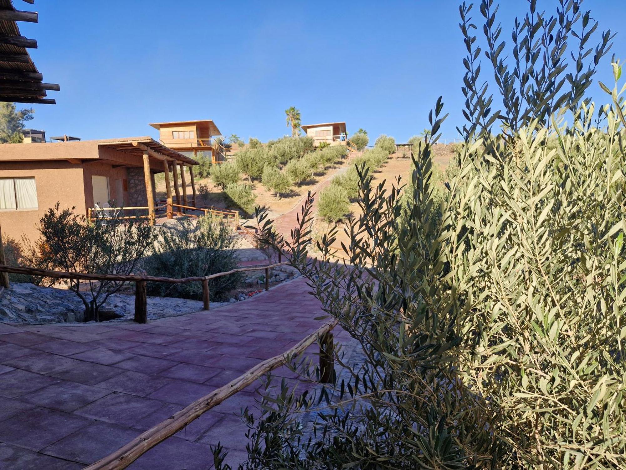Le Parc Des Oliviers Hotel Hrabil Saâda Kültér fotó